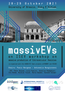massiveEVs workshop